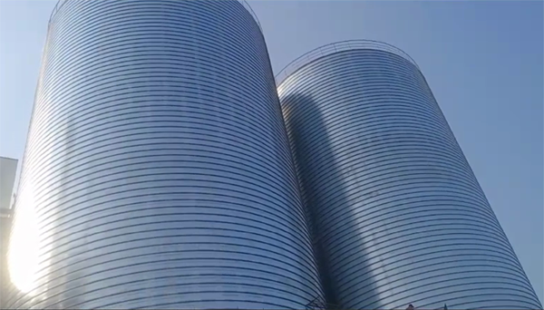 甘州2座混凝土高架卷板仓